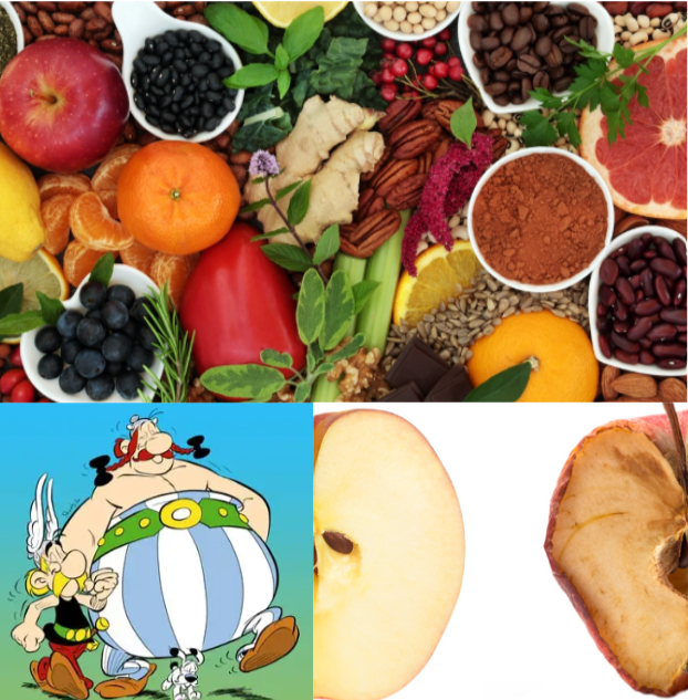 oxydation la micronutrition by sandra